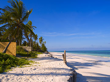 palms beach zanzibar